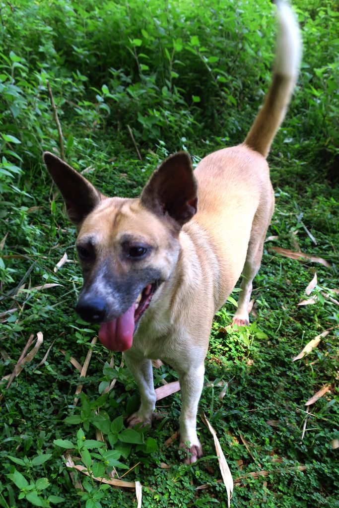 phoenix_IMG_9441_72ed