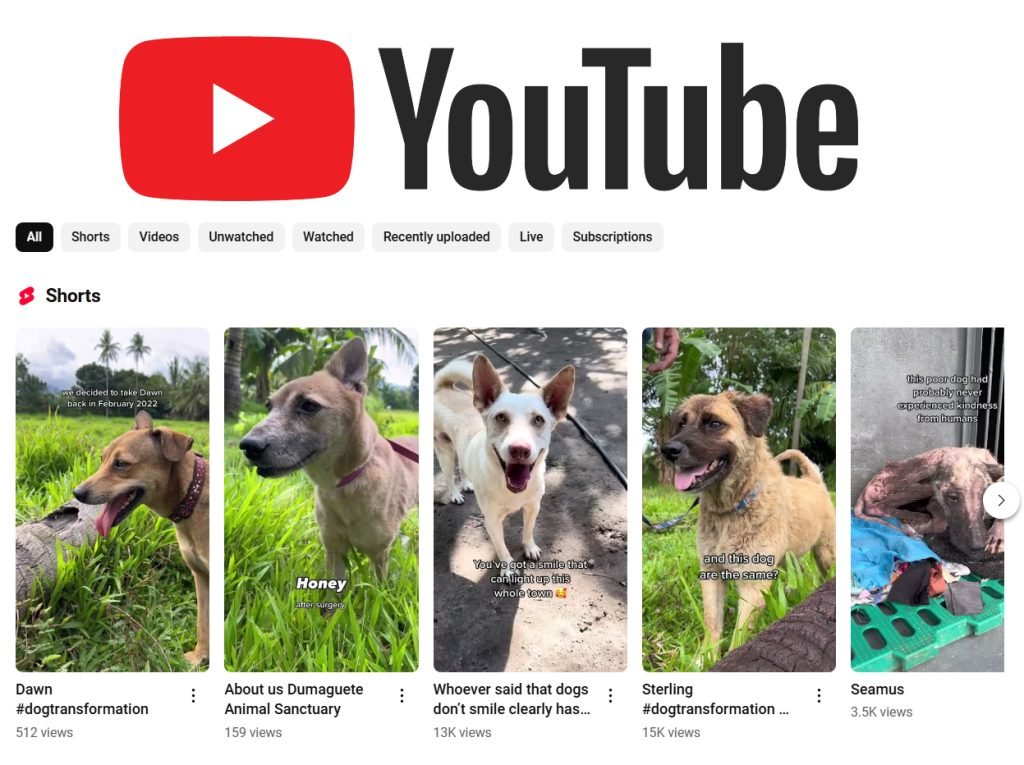 Visit the DAS YouTube Channel