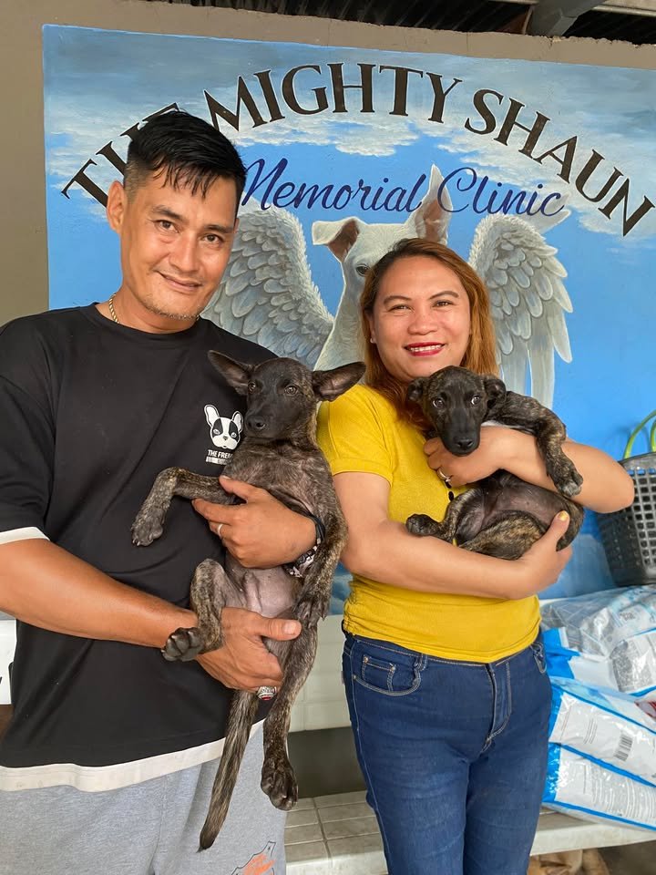 Dumaguete Animal Sanctuary