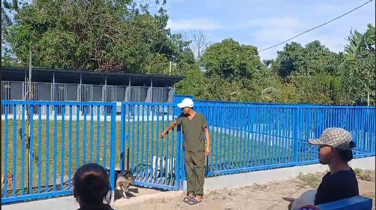 Dumaguete Animal Sanctuary