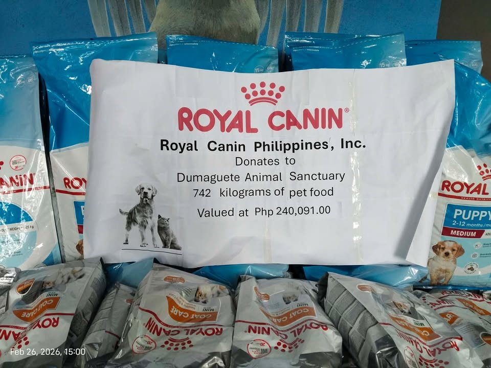 Dumaguete Animal Sanctuary