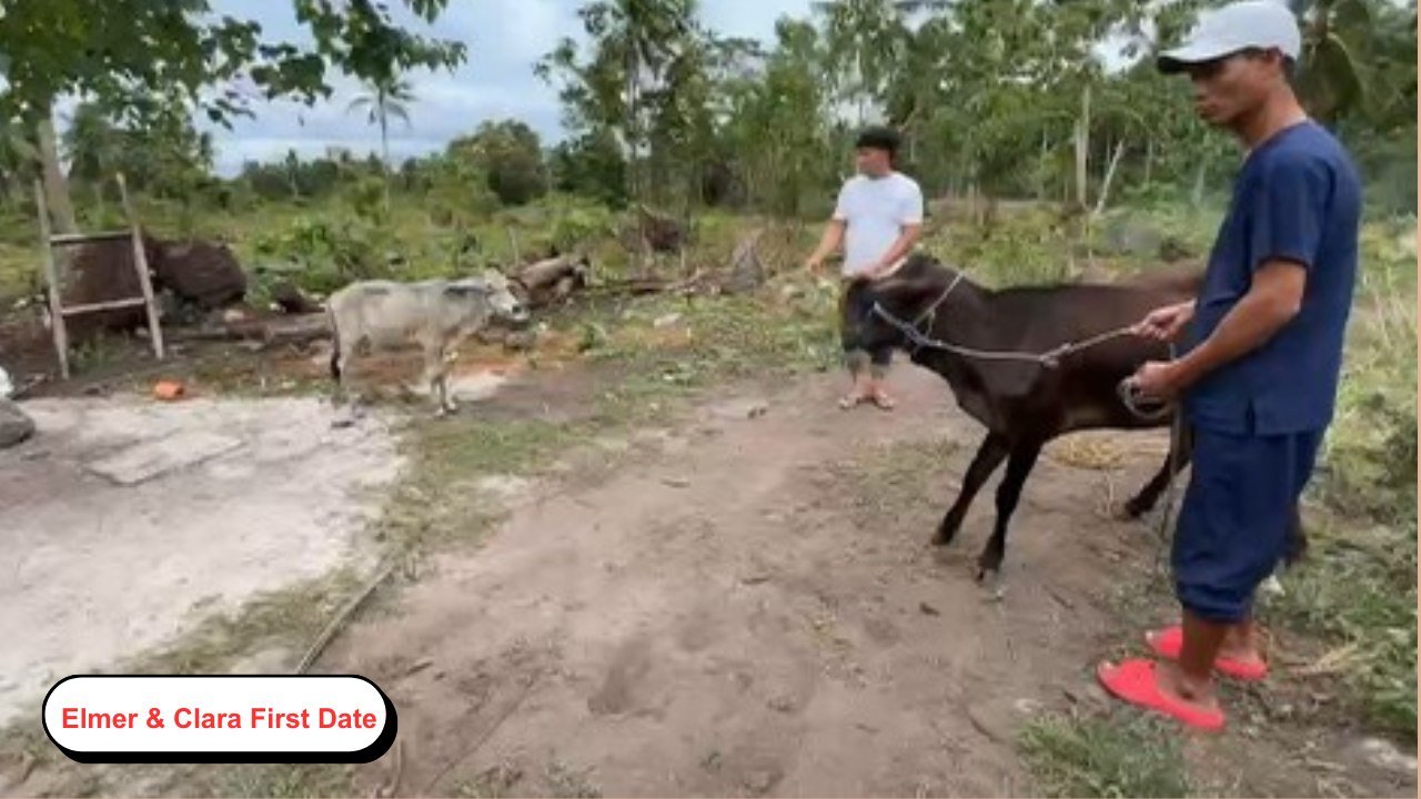Dumaguete Animal Sanctuary