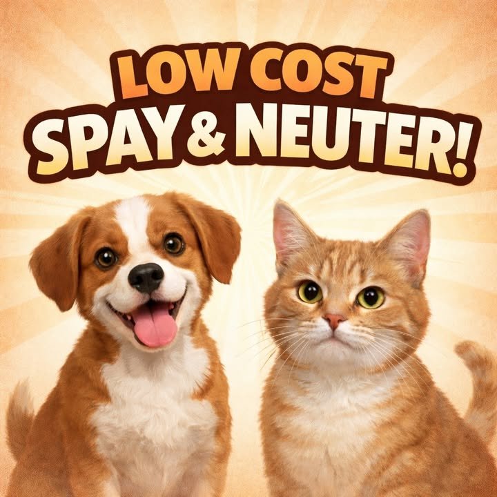 Dumaguete Animal Sanctuary