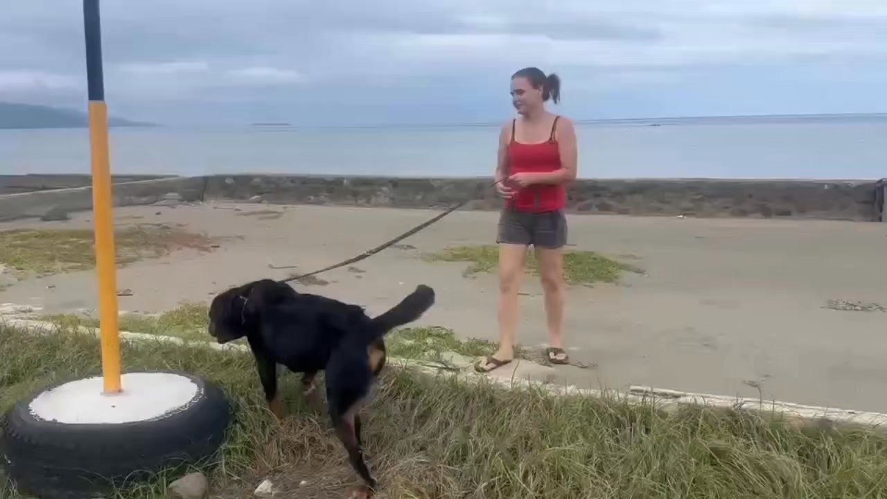 Dumaguete Animal Sanctuary