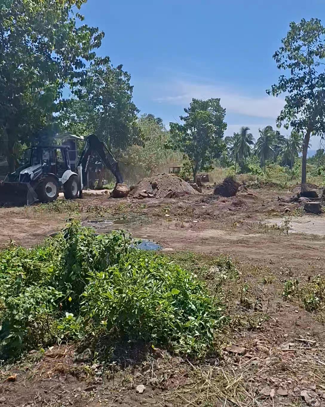 Dumaguete Animal Sanctuary