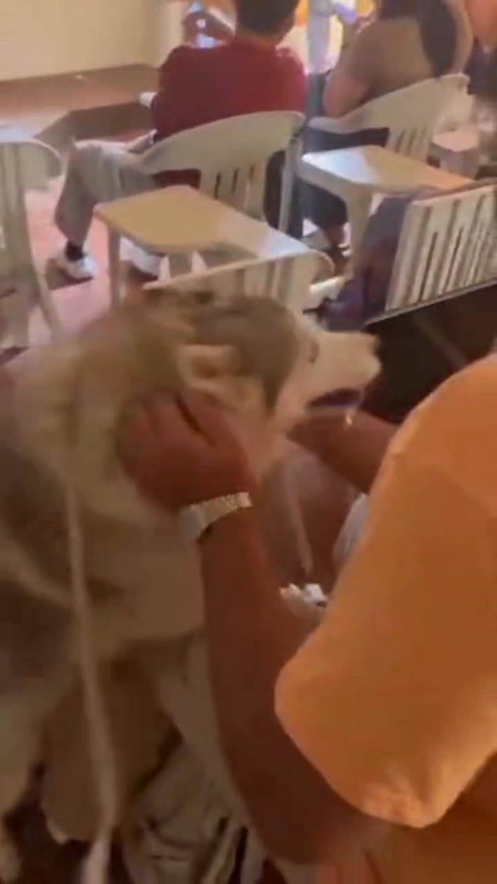 Dumaguete Animal Sanctuary