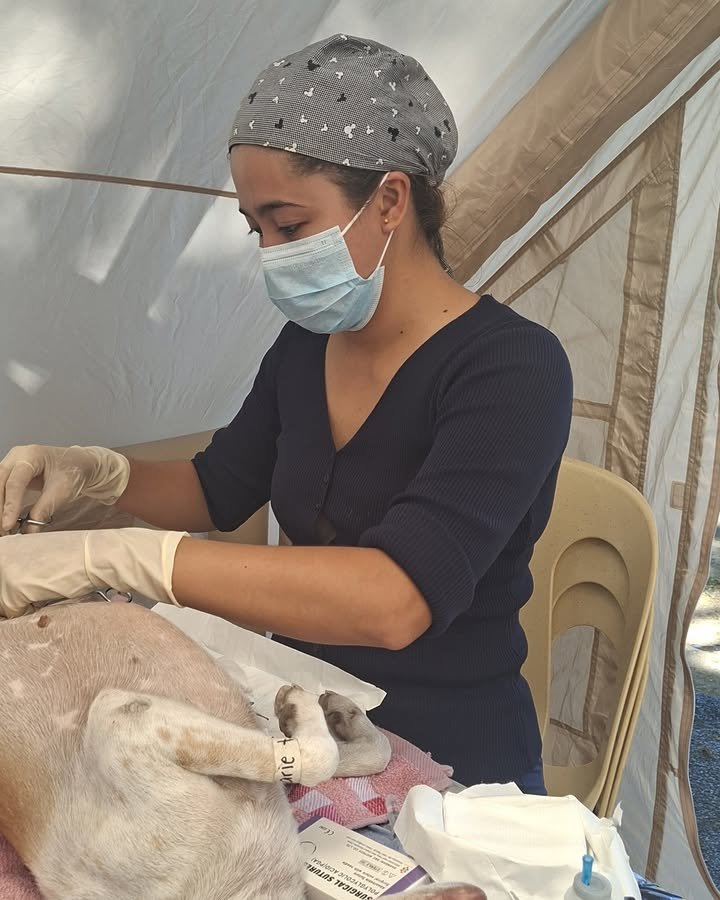 Dumaguete Animal Sanctuary