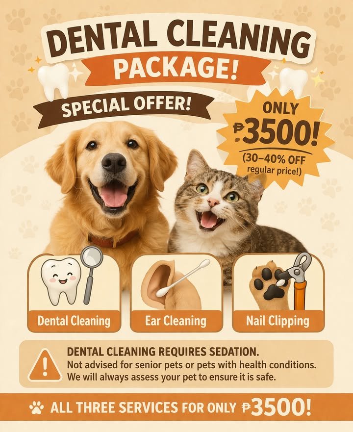 Dumaguete Animal Sanctuary