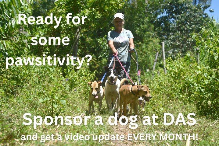 Dumaguete Animal Sanctuary