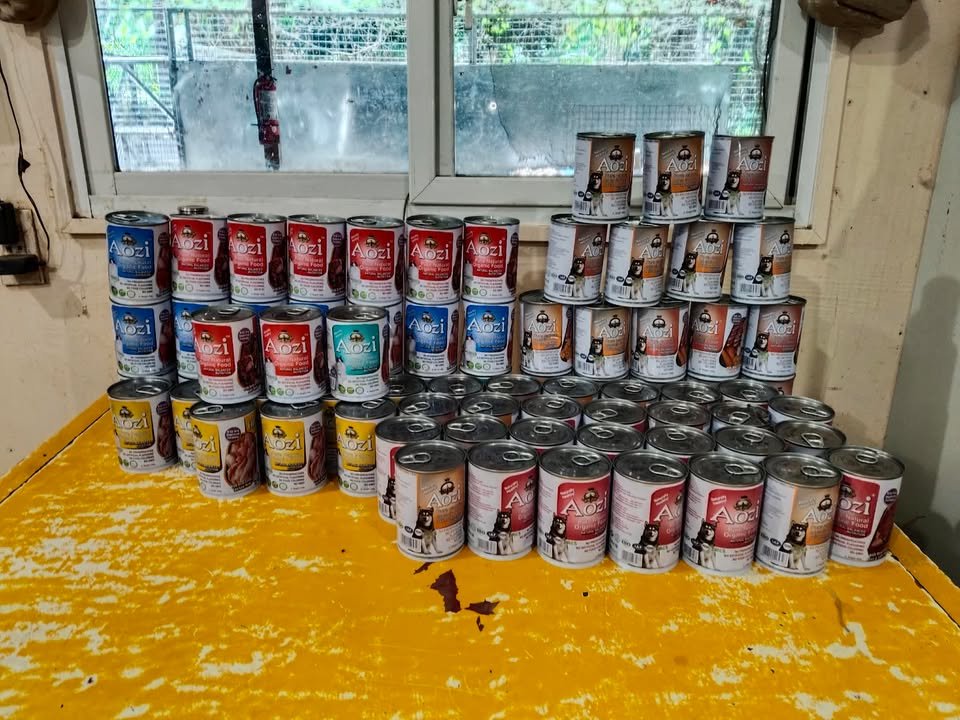 Dumaguete Animal Sanctuary