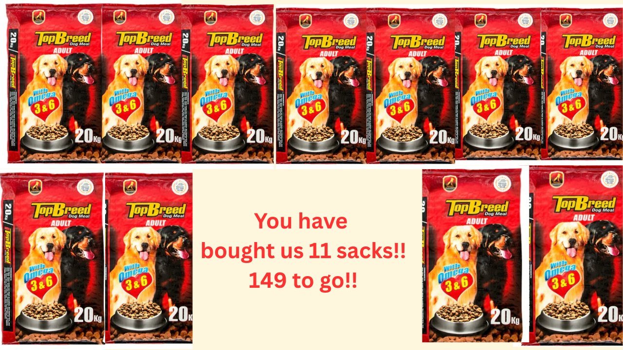 Dumaguete Animal Sanctuary