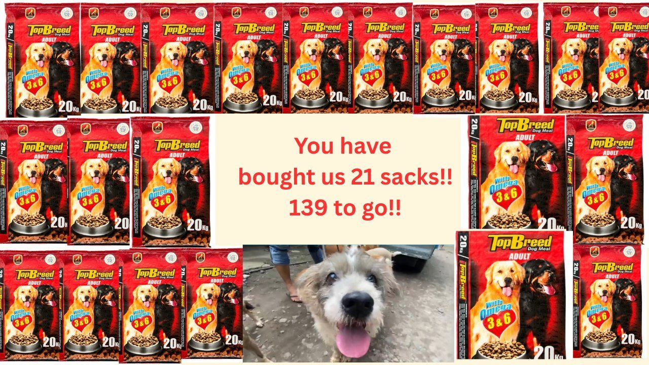 Dumaguete Animal Sanctuary