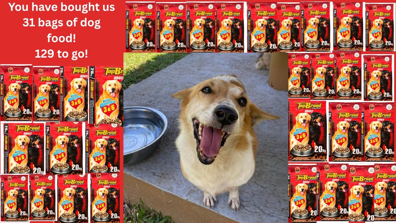 Dumaguete Animal Sanctuary