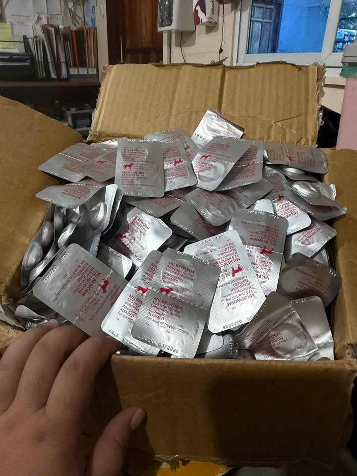 Dumaguete Animal Sanctuary