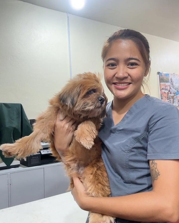 Dumaguete Animal Sanctuary