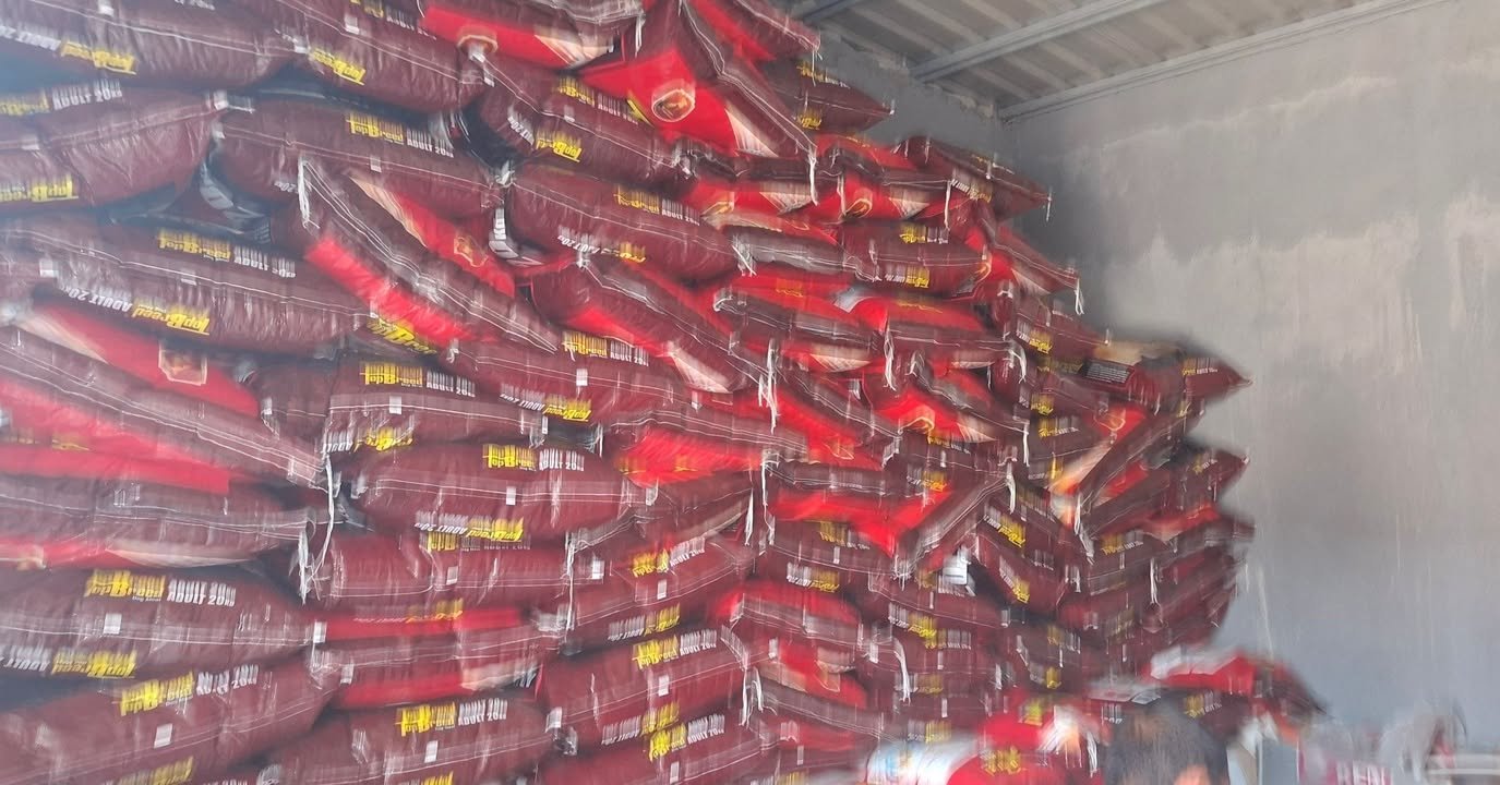 Dumaguete Animal Sanctuary