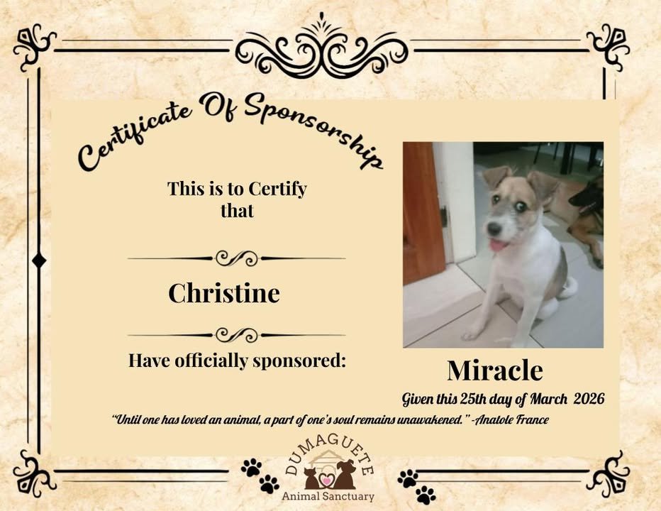 Dumaguete Animal Sanctuary