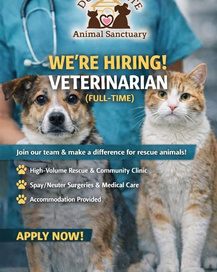 Dumaguete Animal Sanctuary