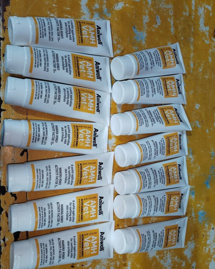 Dumaguete Animal Sanctuary