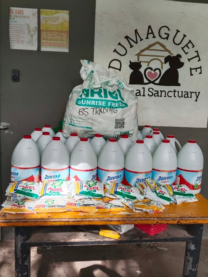 Dumaguete Animal Sanctuary