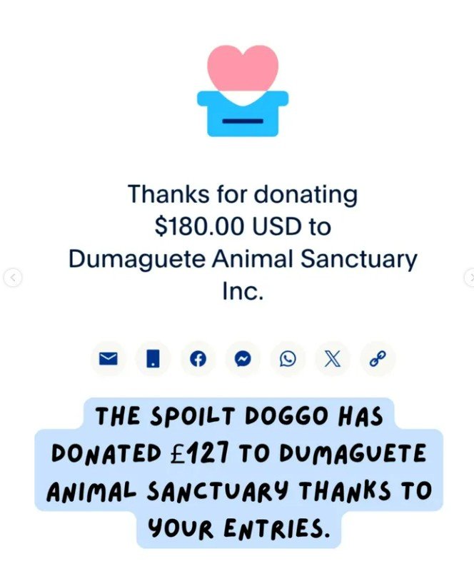 Dumaguete Animal Sanctuary