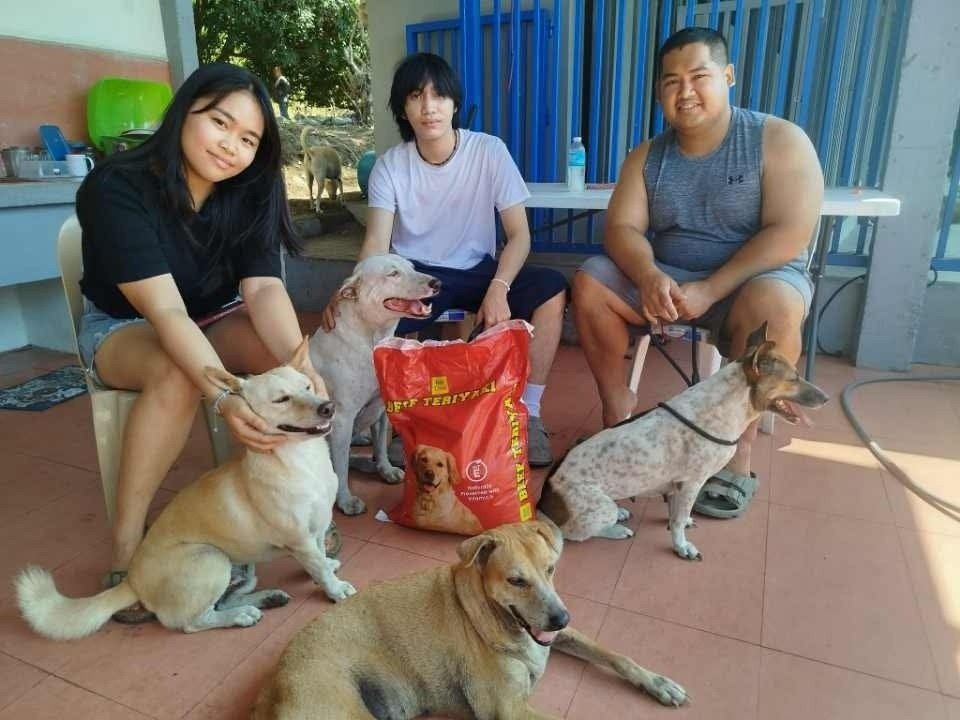 Dumaguete Animal Sanctuary
