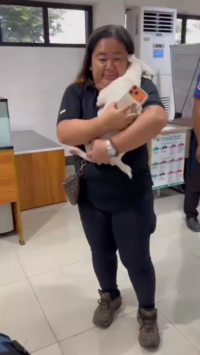 Dumaguete Animal Sanctuary