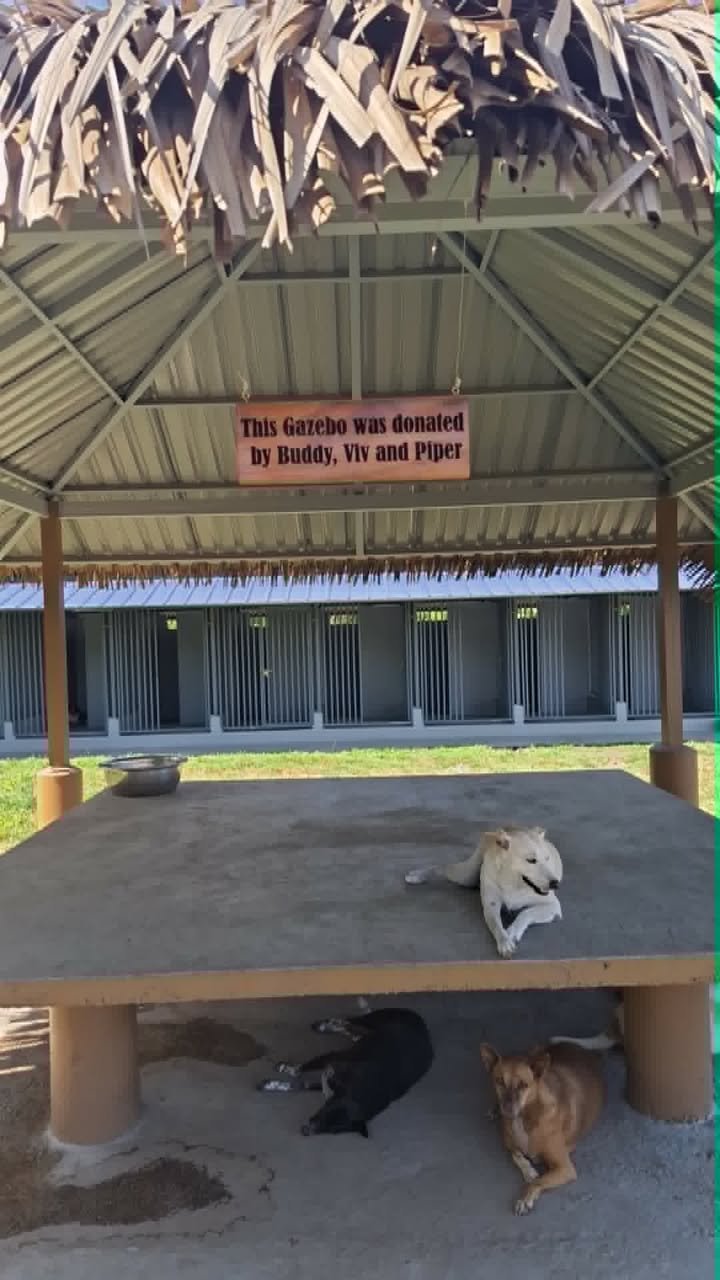 Dumaguete Animal Sanctuary