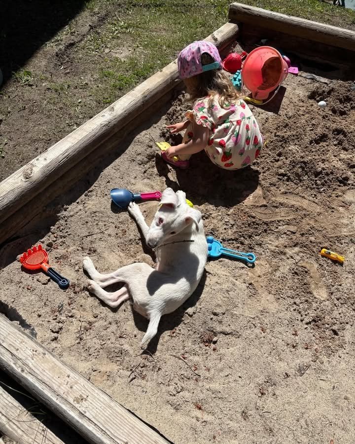 Dumaguete Animal Sanctuary