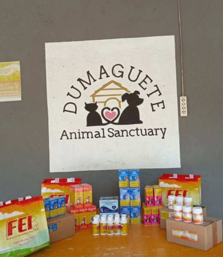 Dumaguete Animal Sanctuary