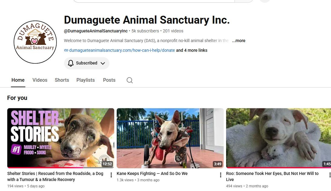 Dumaguete Animal Sanctuary