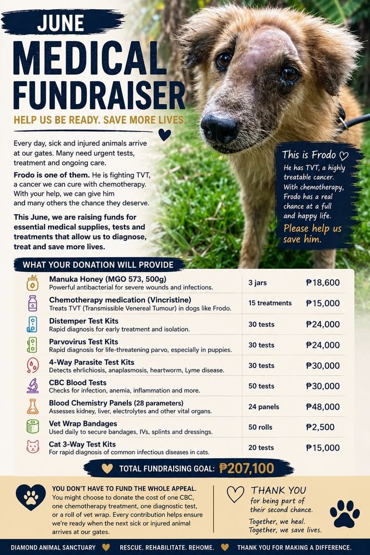 Dumaguete Animal Sanctuary