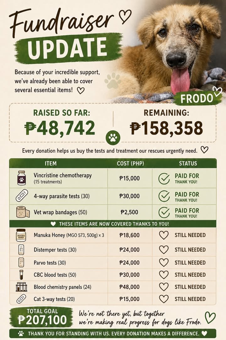 Dumaguete Animal Sanctuary