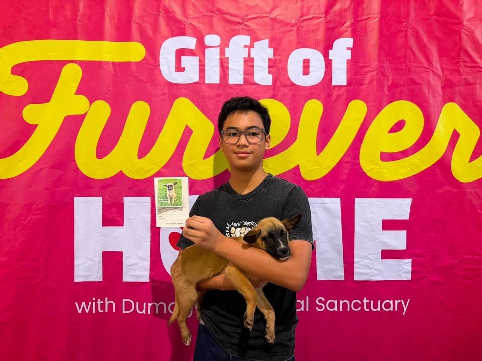 Dumaguete Animal Sanctuary