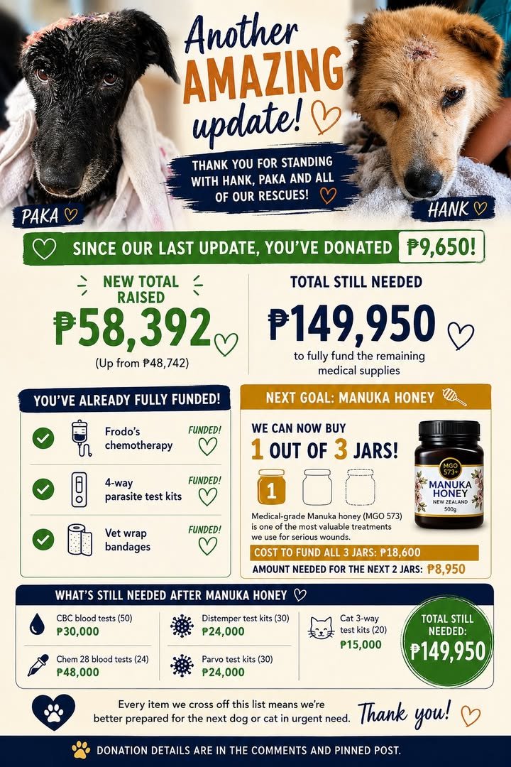 Dumaguete Animal Sanctuary