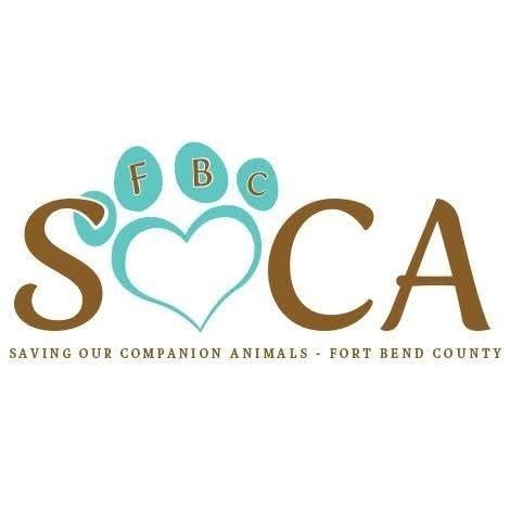 Dumaguete Animal Sanctuary