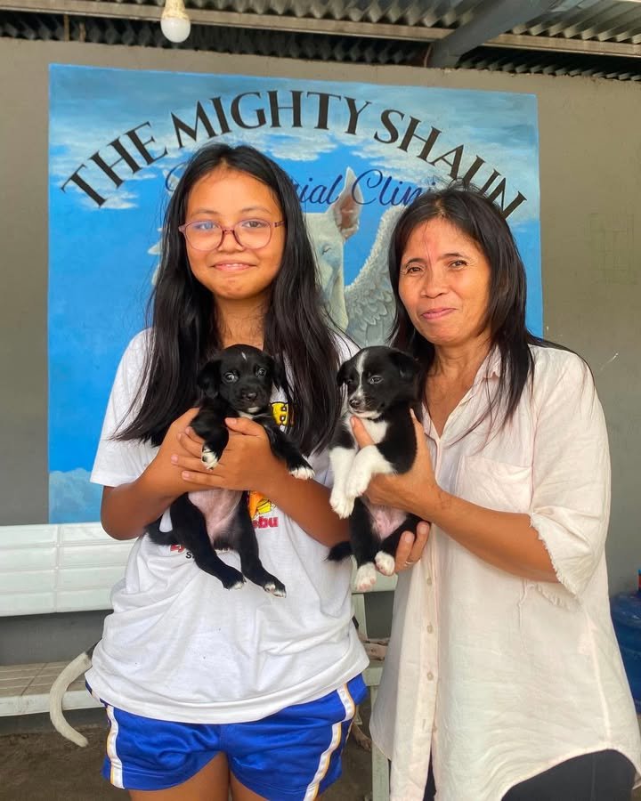 Dumaguete Animal Sanctuary