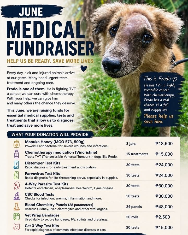Dumaguete Animal Sanctuary