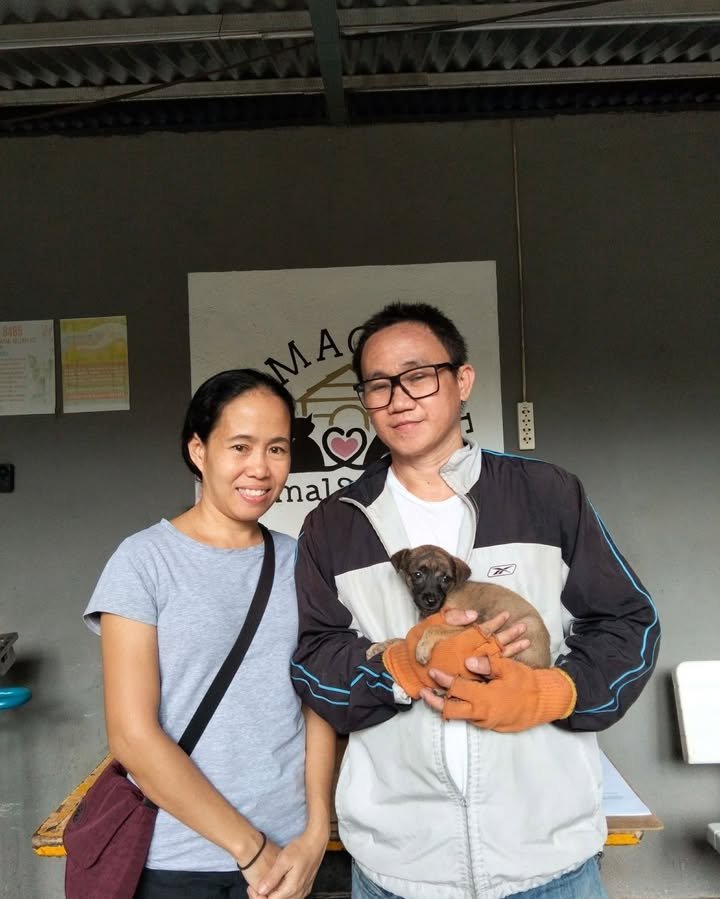 Dumaguete Animal Sanctuary