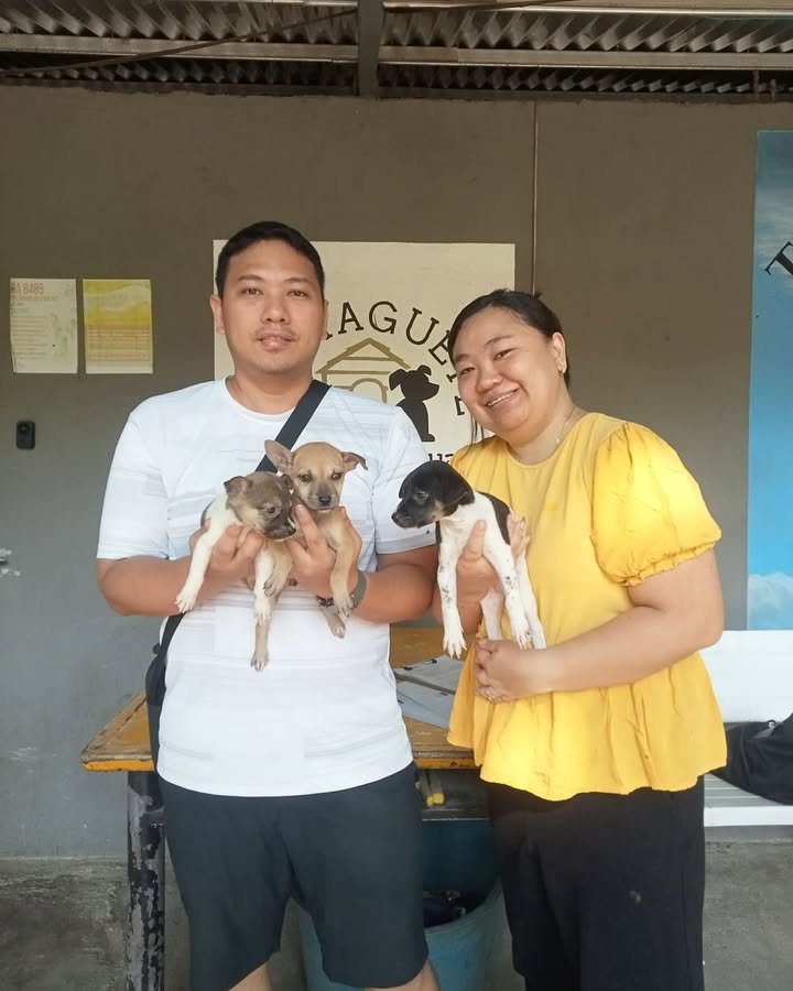 Dumaguete Animal Sanctuary