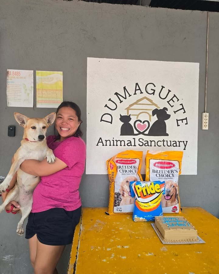 Dumaguete Animal Sanctuary