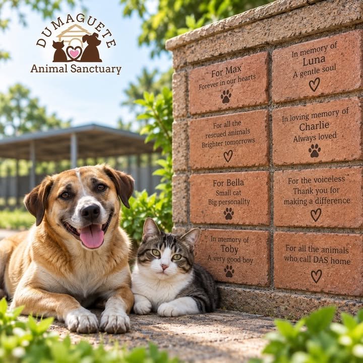 Dumaguete Animal Sanctuary
