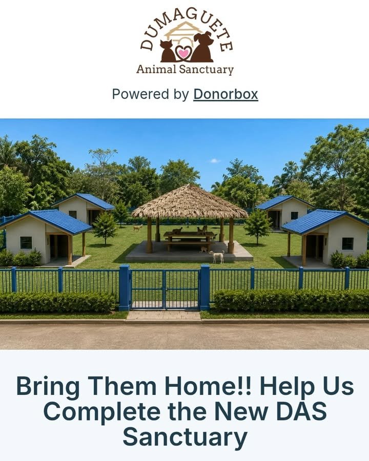 Dumaguete Animal Sanctuary
