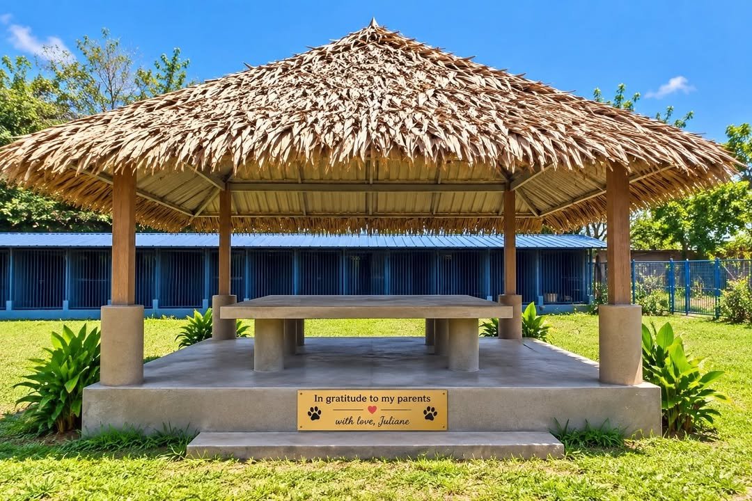 Dumaguete Animal Sanctuary
