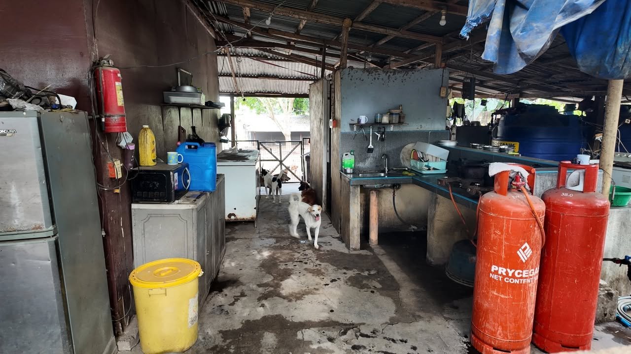 Dumaguete Animal Sanctuary