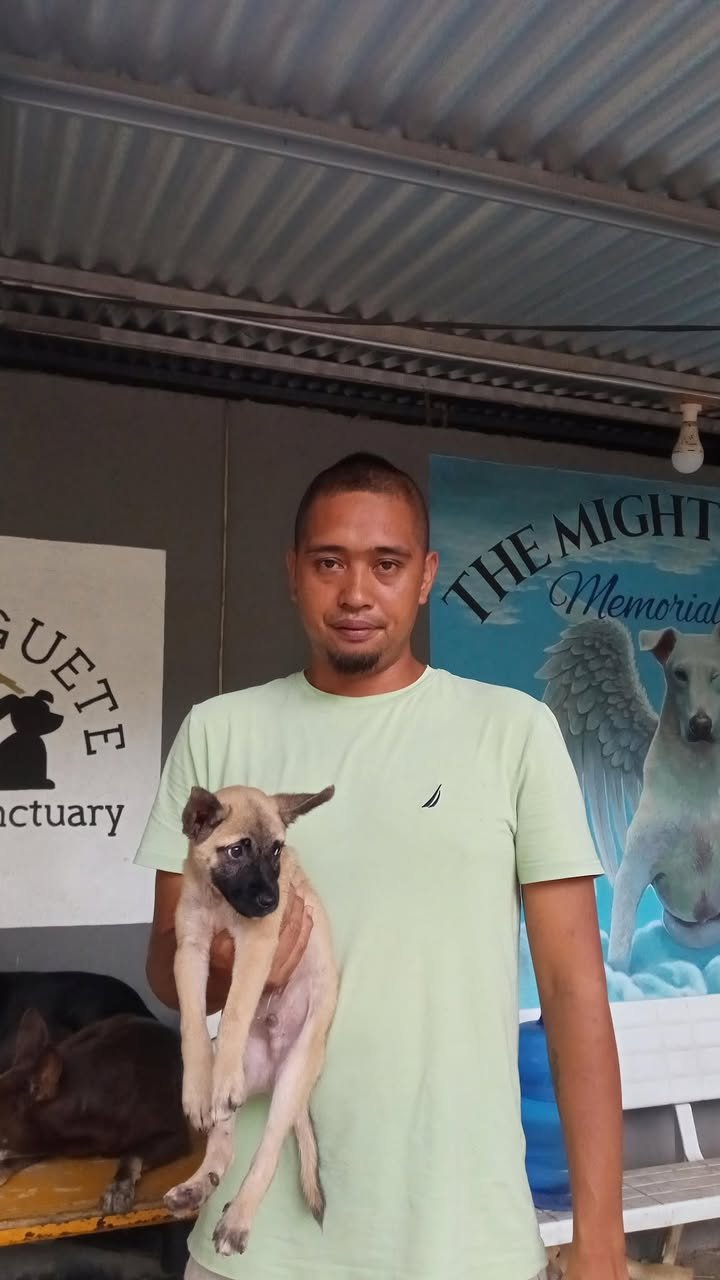 Dumaguete Animal Sanctuary