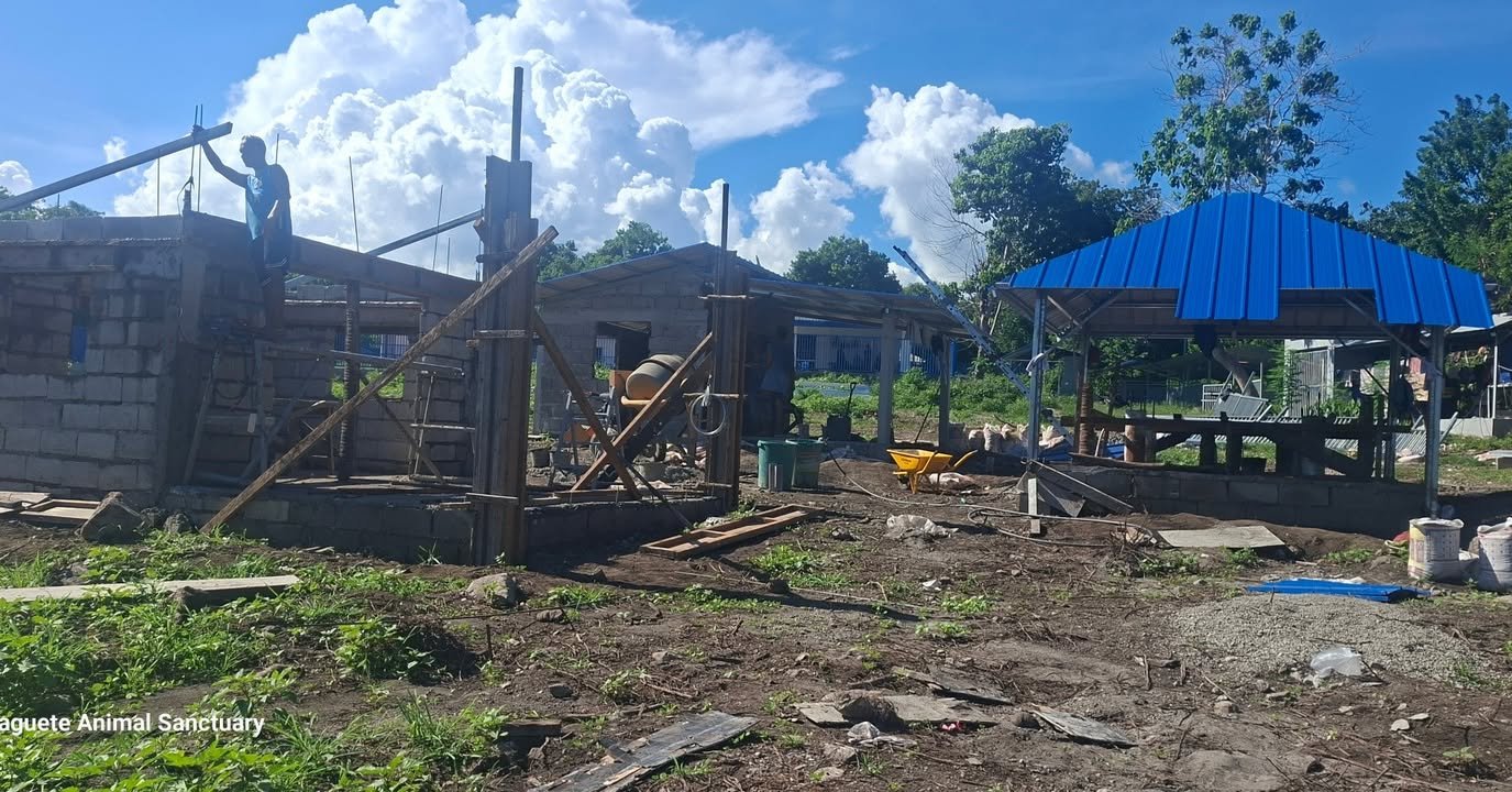 Dumaguete Animal Sanctuary