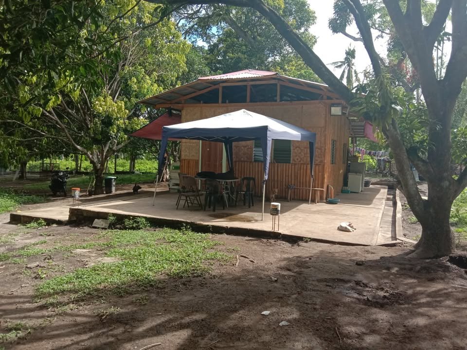 Dumaguete Animal Sanctuary